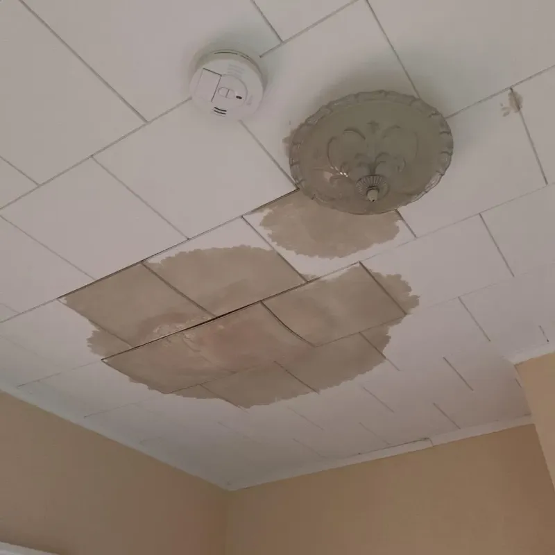 Ceiling Water Damage Repair in Kings Park West, VA