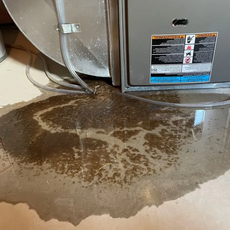 Pipe Burst and Leak Restoration in Kings Park West, VA